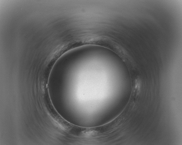 X0000077350452200610271832