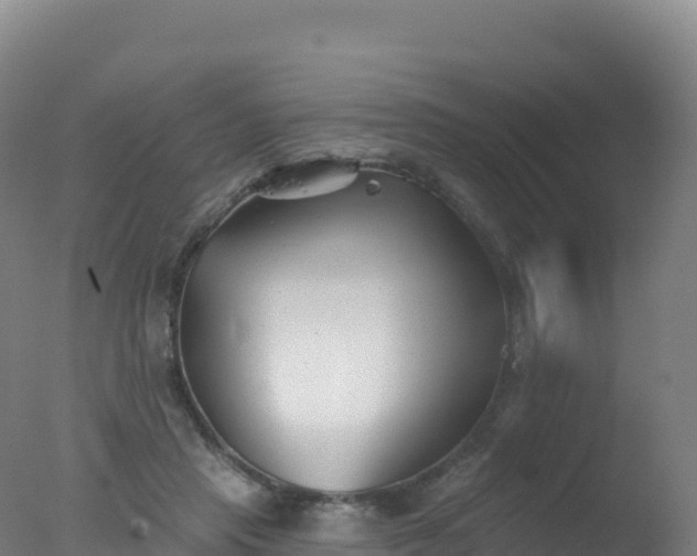 X0000077350453200610271832