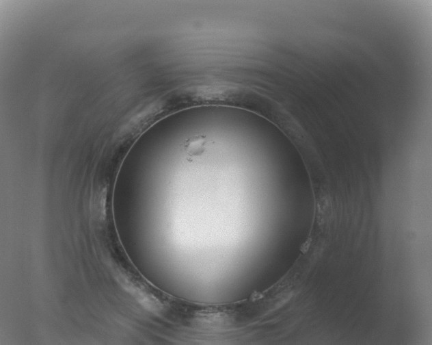 X0000077350454200610271832