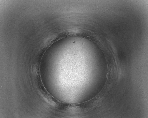 X0000077350455200610271832