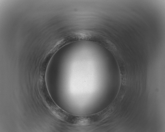 X0000077350456200610271833