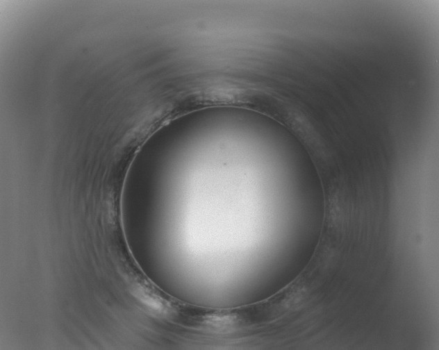 X0000077350457200610271833