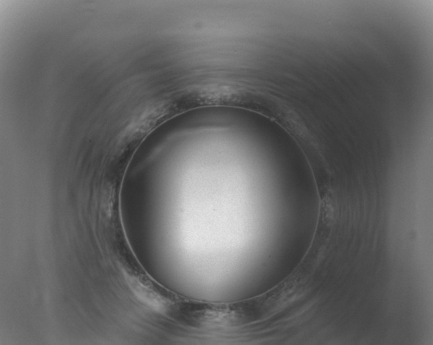 X0000077350458200610271833