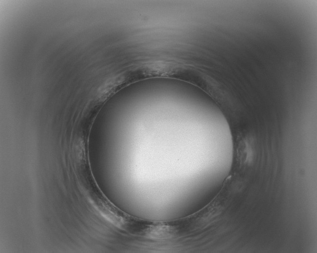 X0000077350459200610271833