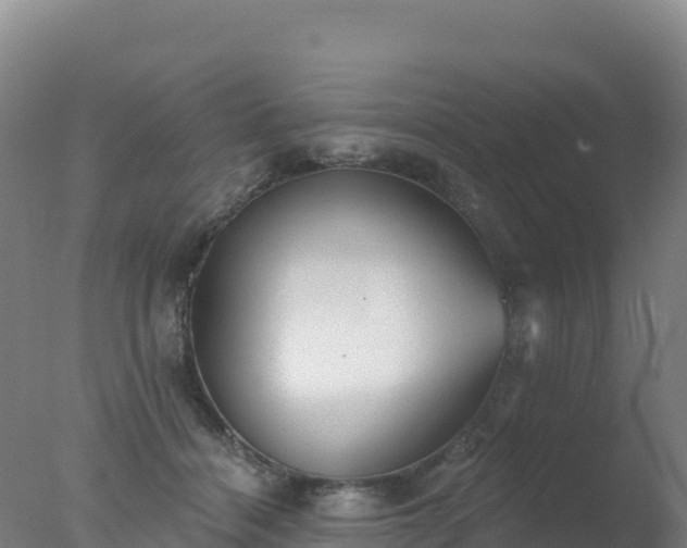 X0000077350460200610271833