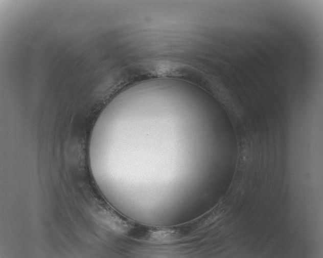 X0000077350461200610271833