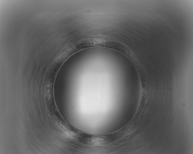 X0000077350462200610271833