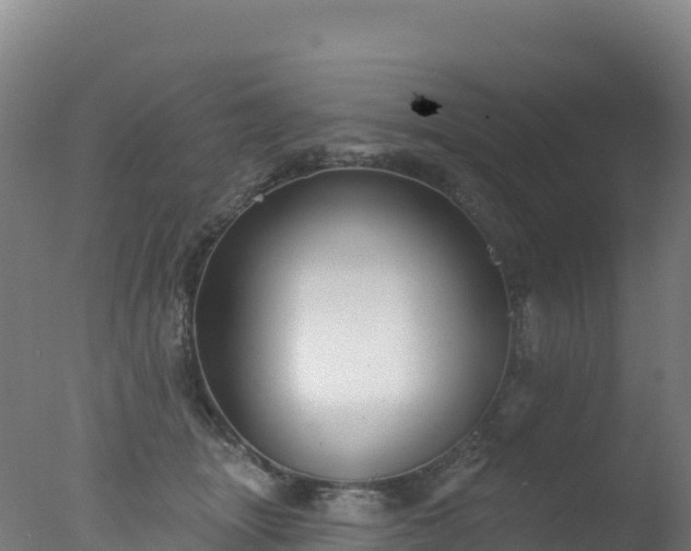 X0000077350463200610271833