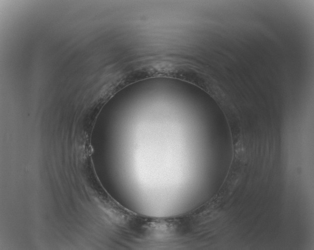 X0000077350464200610271833