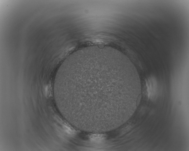 X0000077350465200610271833