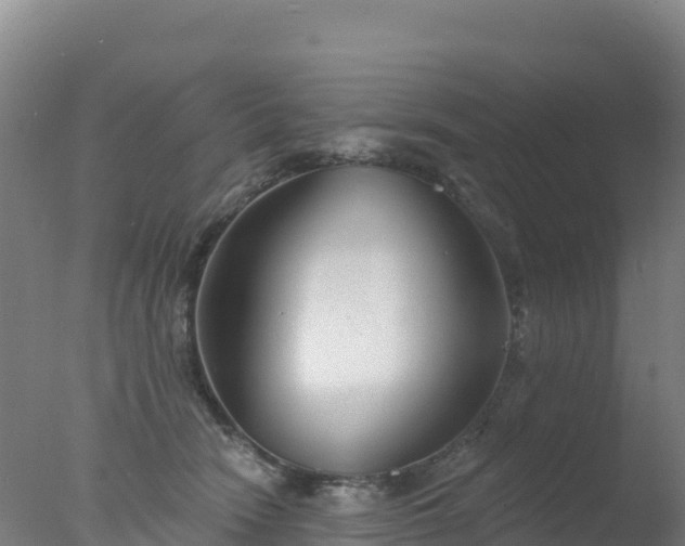 X0000077350466200610271833