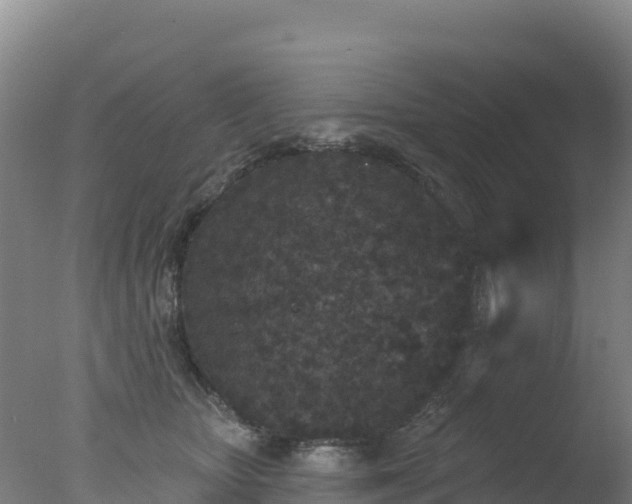 X0000077350467200610271833