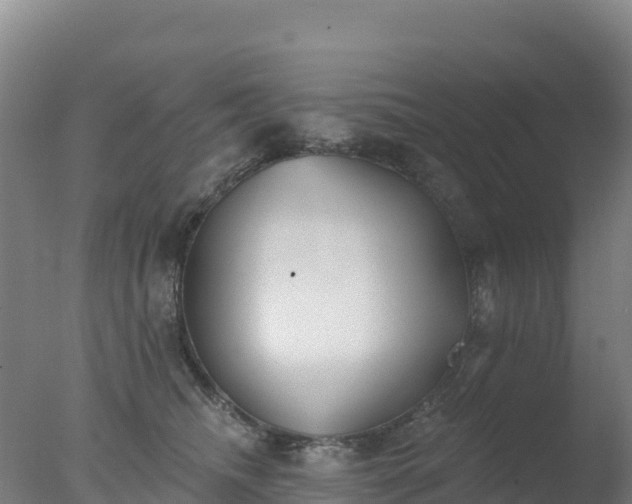 X0000077350468200610271833