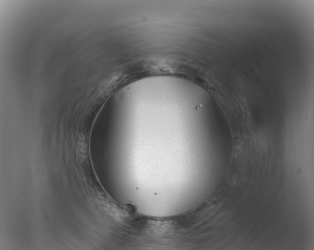 X0000077350469200610271833