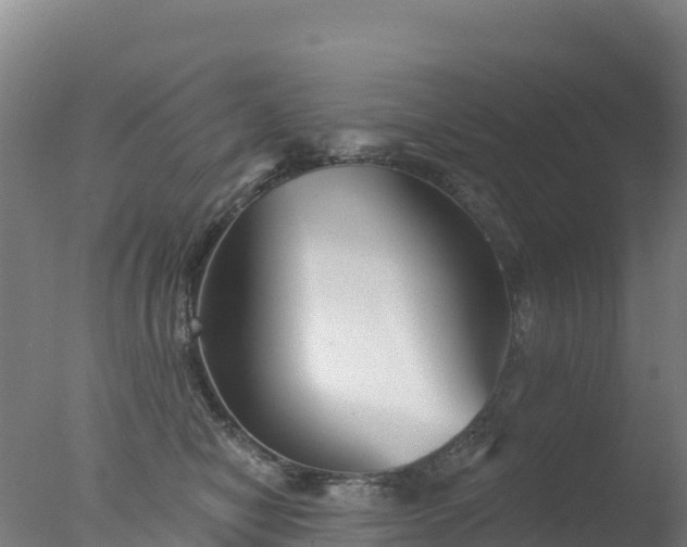 X0000077350470200610271833