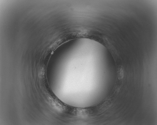 X0000077350472200610271833