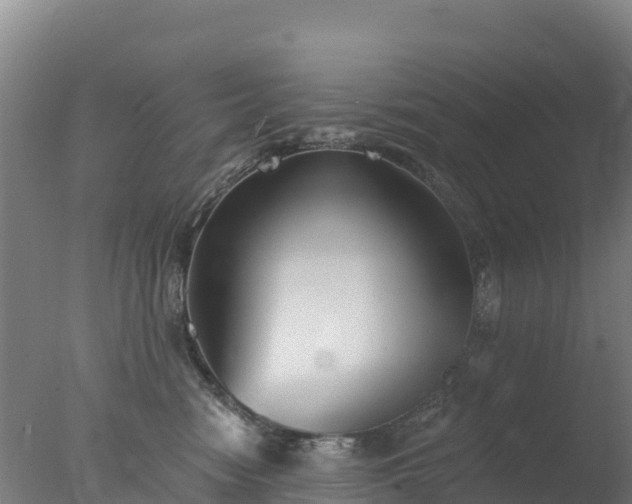 X0000077350474200610271833