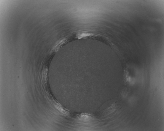 X0000077350475200610271833