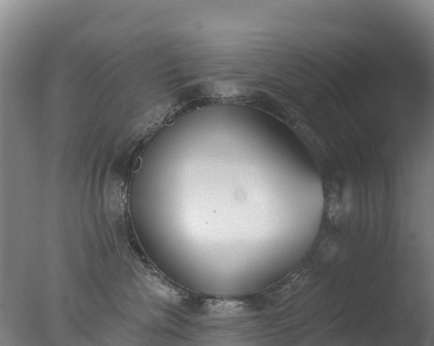 X0000077350476200610271833