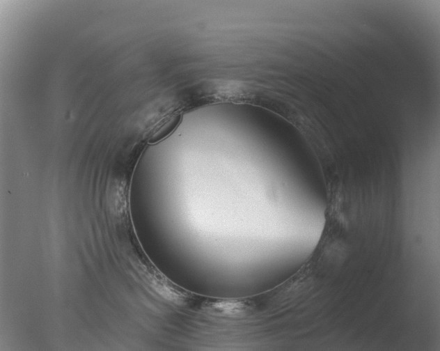 X0000077350478200610271833