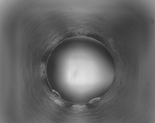 X0000077350480200610271833