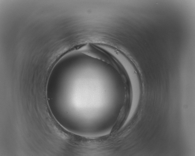 X0000077350481200610271832