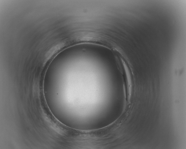 X0000077350482200610271832