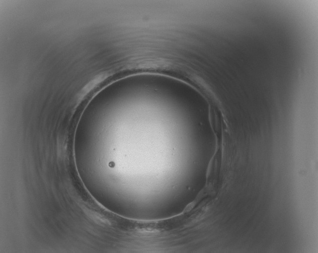 X0000077350483200610271832