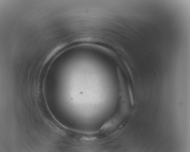 X0000077350484200610271832