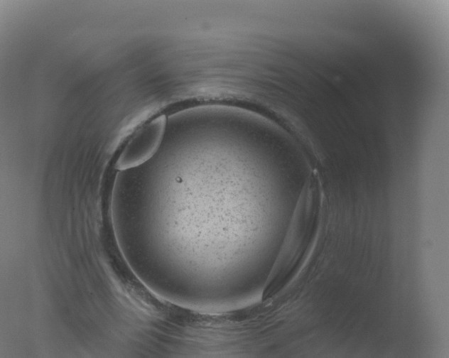 X0000077350488200610271832