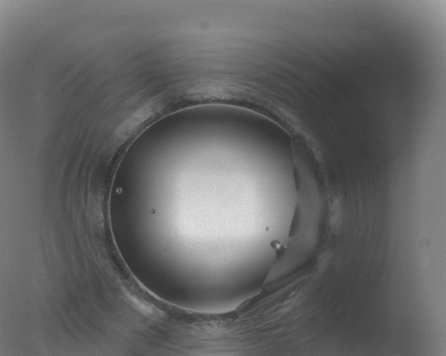 X0000077350489200610271832