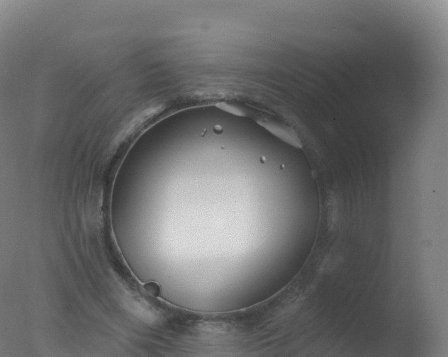 X0000077350490200610271832