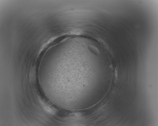 X0000077350492200610271832