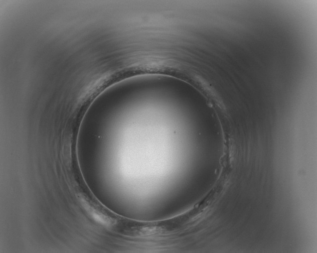 X0000077350493200610271832