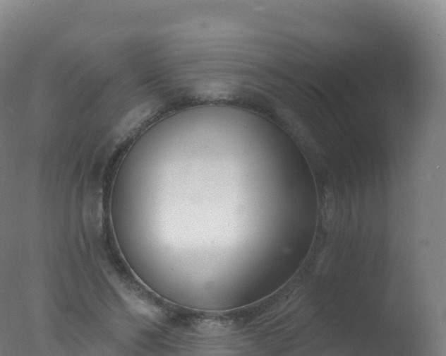 X0000077350494200610271832