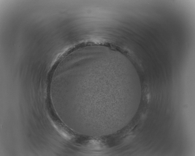 X0000077350496200610271832