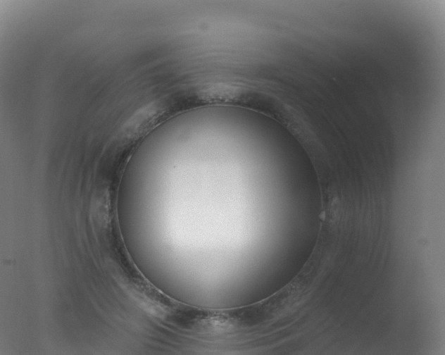 X0000077350498200610271832