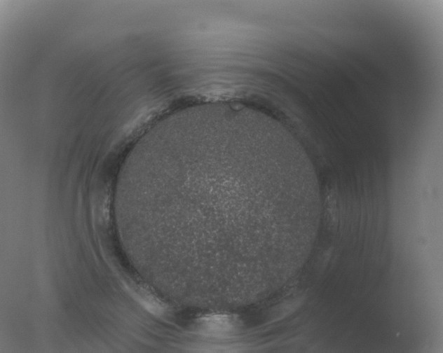 X0000077350499200610271832