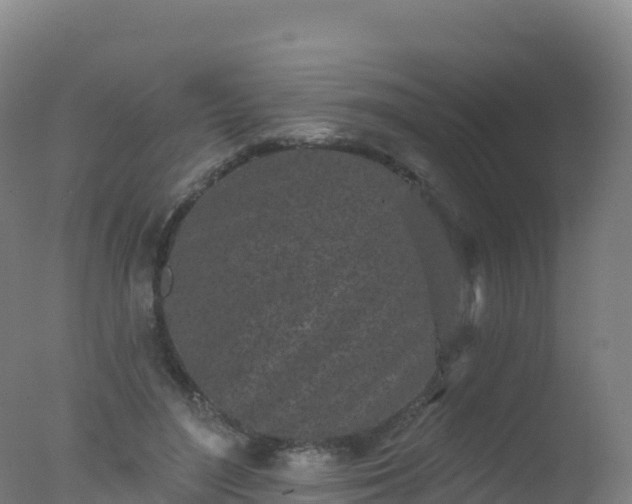 X0000077350500200610271832