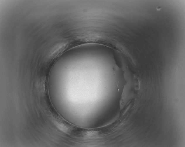 X0000077350501200610271832