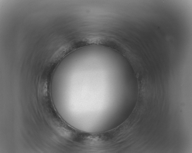 X0000077350502200610271832