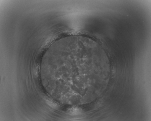 X0000077350503200610271832