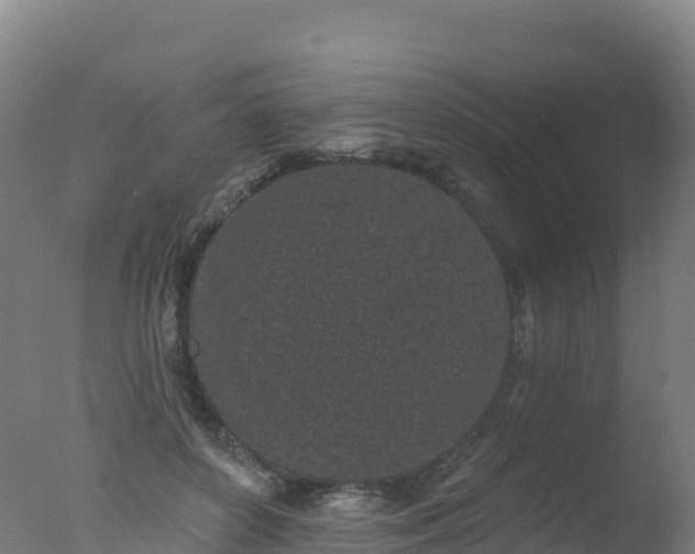 X0000077350504200610271832