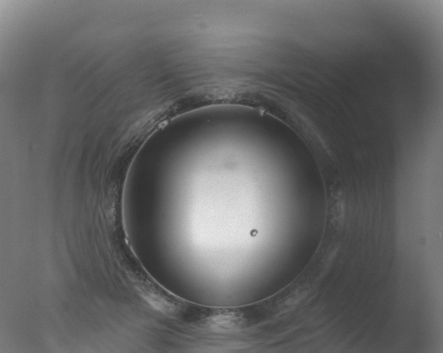 X0000077350505200610271832