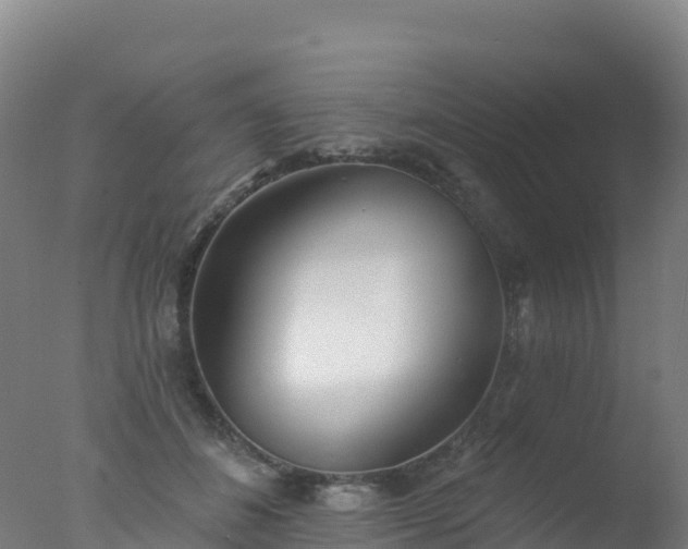 X0000077350508200610271832