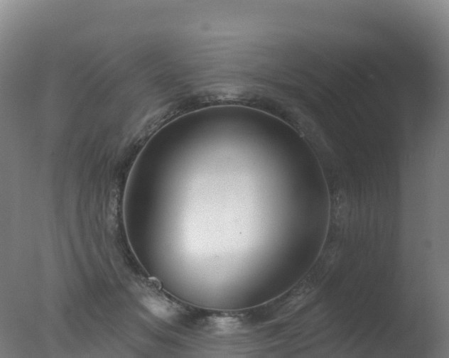 X0000077350509200610271832