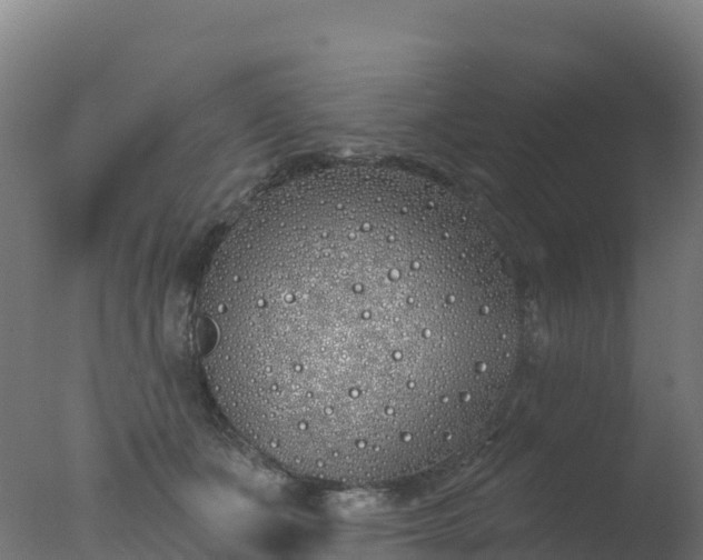 X0000077350511200610271832