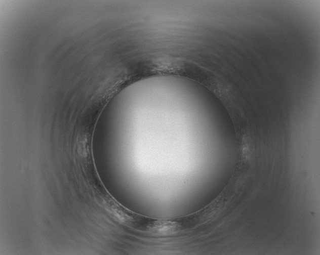 X0000077350514200610271832