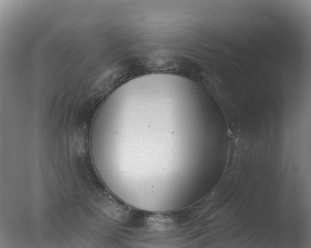 X0000077350515200610271832