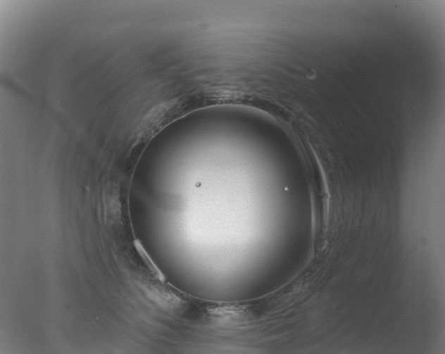 X0000077350516200610271832